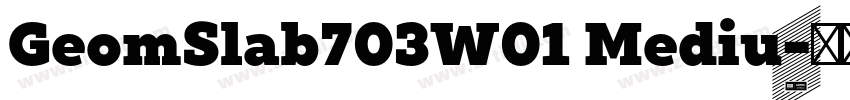 GeomSlab703W01 Mediu字体转换 GeomSlab703W01 Mediu字体转换